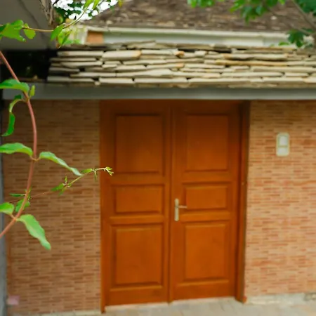 Tek Gjyshi *